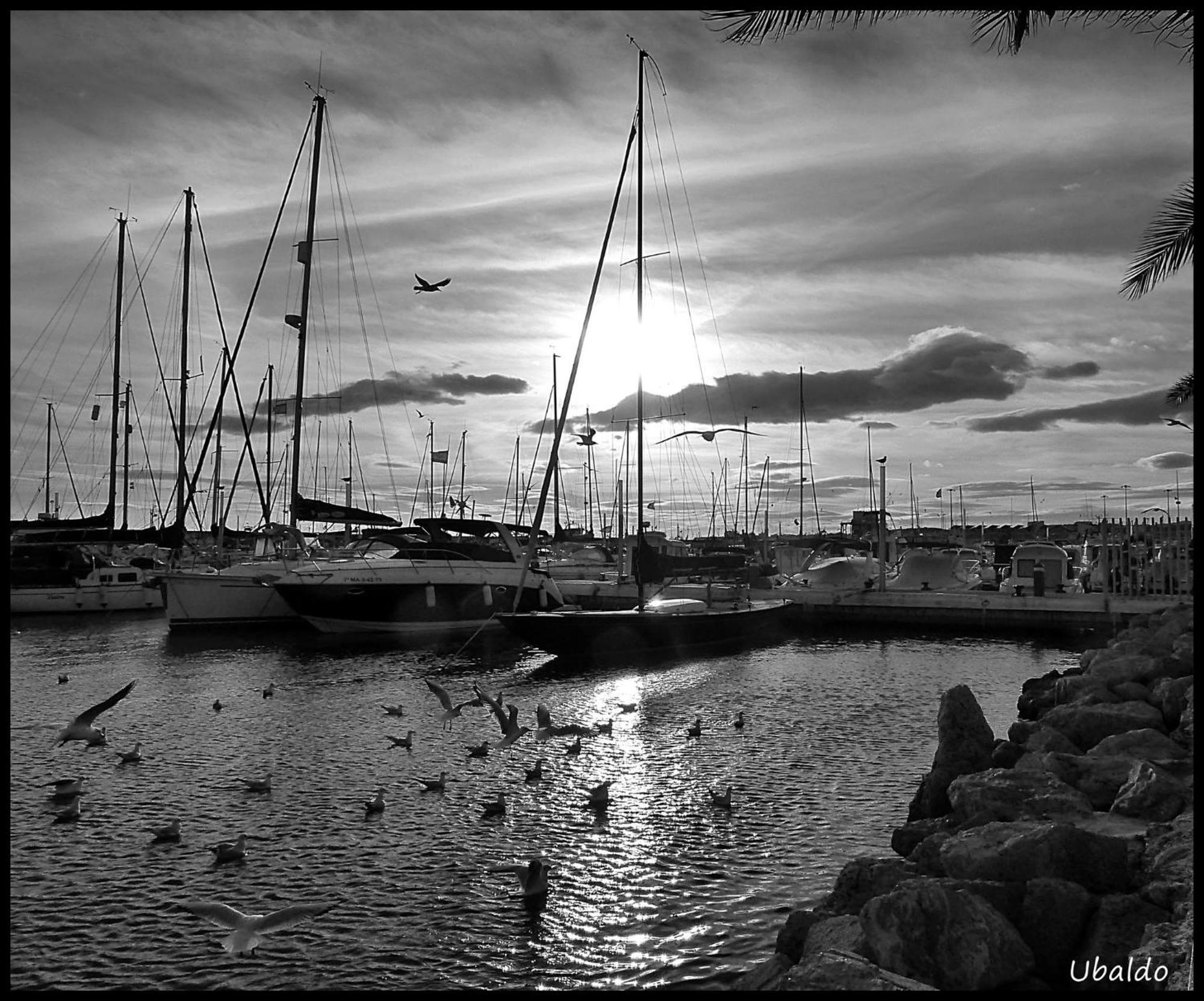 Brisas Del Mar Villa Caleta De Velez Bagian luar foto